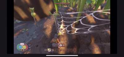 First experience with pets didn’t go too well...