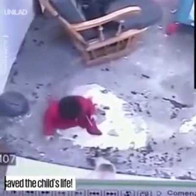 Cat saves a baby from falling down the stairs!
