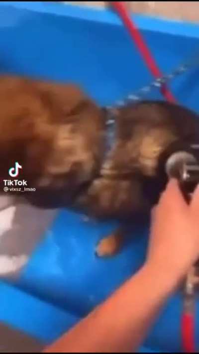Magnific
