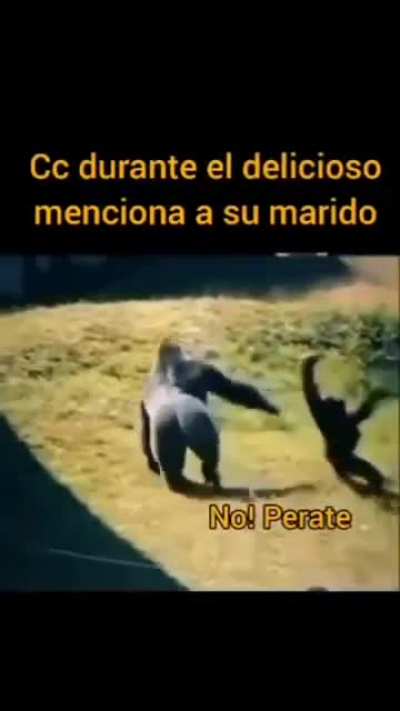 🤣🤣🤣