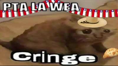 yo_ctm