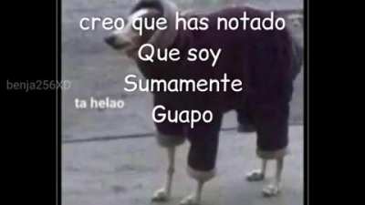 *baile facha*