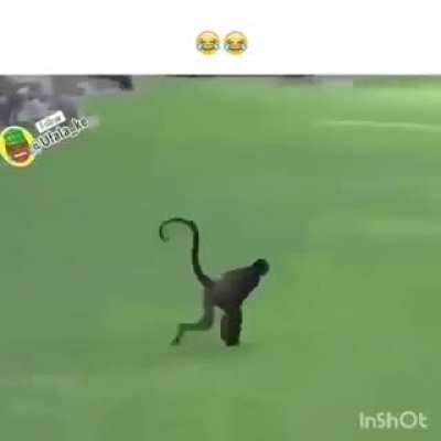 😂😂