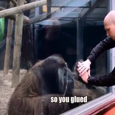 Monkey Magic