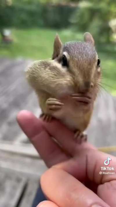 Большой арахис 🥜