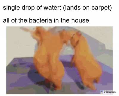 come on in everybody