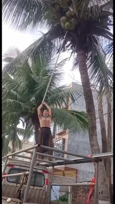 How to instantly crack coconuts open