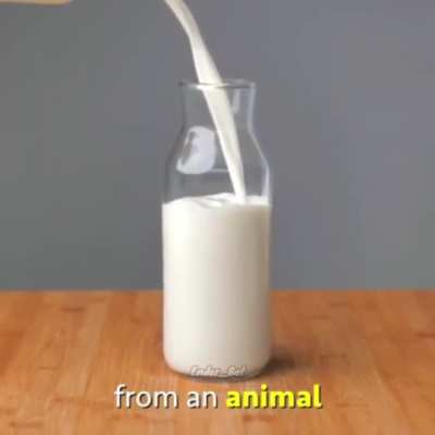 Milk