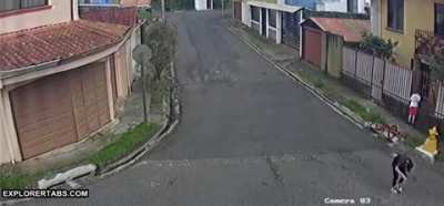 Kid gets his head stuck in a fence after a car tries rolling through a stop sign