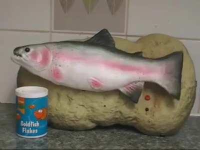 Fîsh