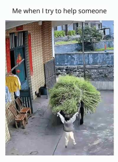 I am trying