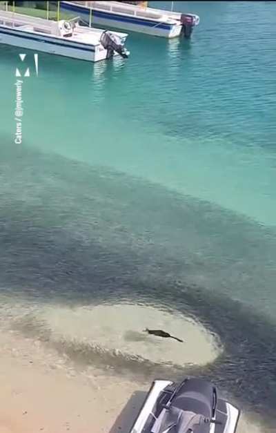 “Don’t worry, there’s plenty of fish in the sea.”