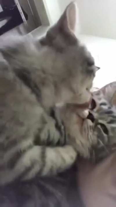 Soulmates for life.