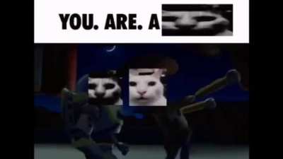 Wunk v lunk