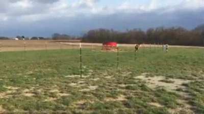 Two happy friends decide to have a race