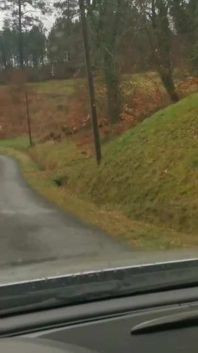 OMG! THE JUMP AT THE END! Amazing