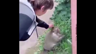 Monke return 2 u