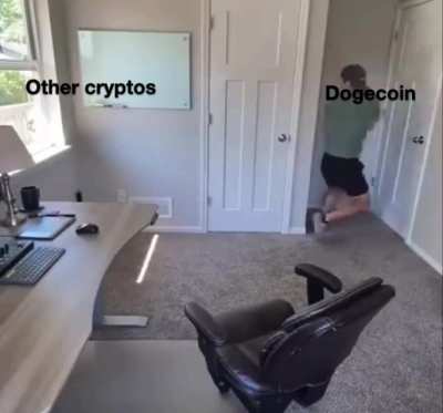We believe in #doge 😂💙