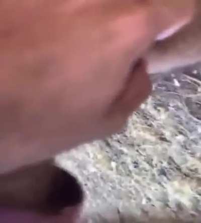 crushing a bullet with hammer