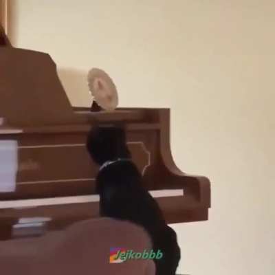 Pipupiru pu pi pi pi