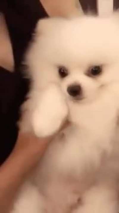 Grrr