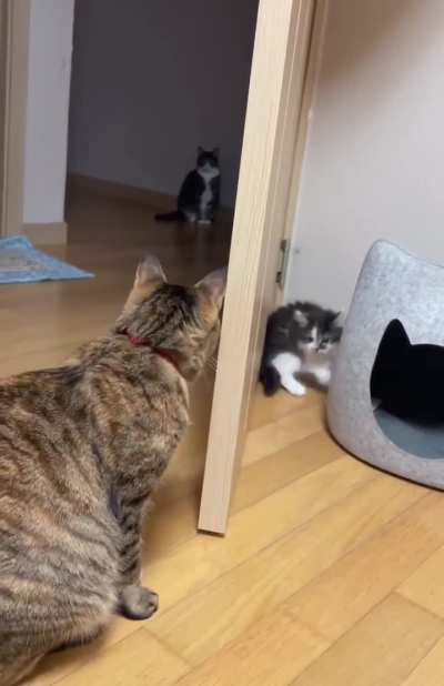 First time meeting 