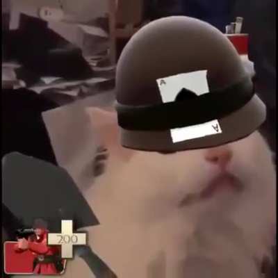 FIGHT TO THE DEATH