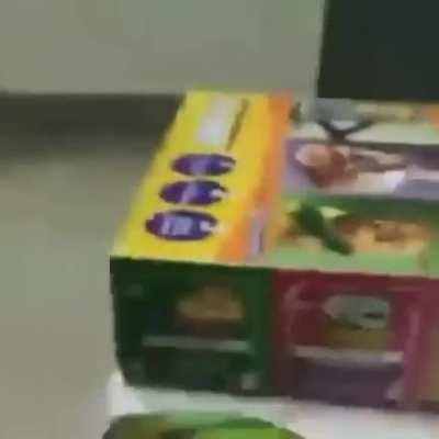 Trolleoooo