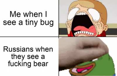 I'm really scared of bugs
