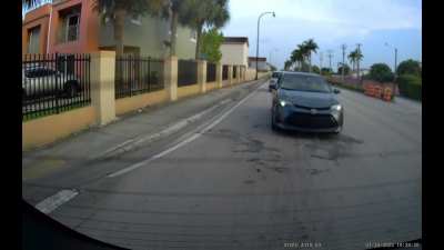 [VIOFO A119] FL-USA Big Truck, Tiny Brain