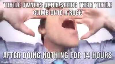 smonkposting