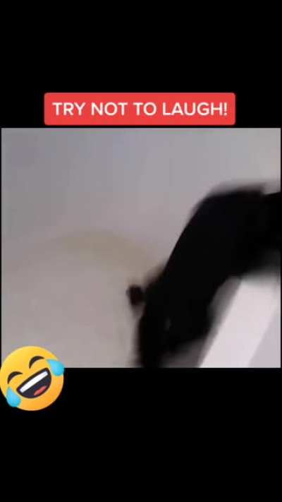 Curiosity (almost) killed the cat