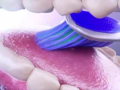 Brush Brush Brush
