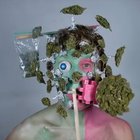 Marijuana Man