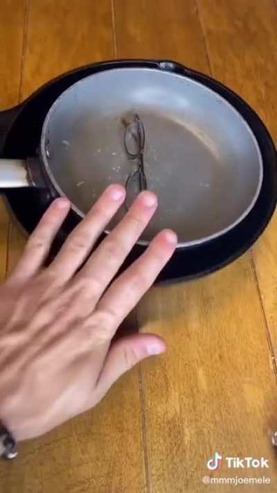 Ratatouille