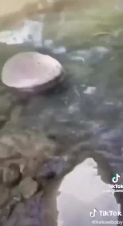 AAAAAAAAAAA