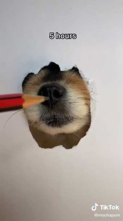 Drawing her dog