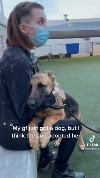 Getting adopted