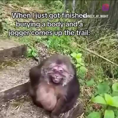absolutelynotme_irl