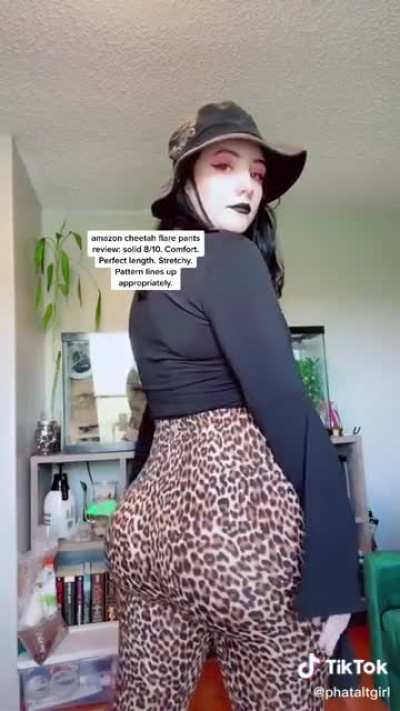 Cheetah
