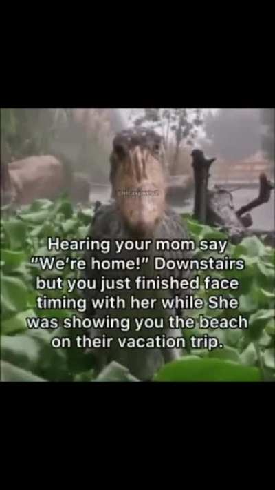 You’d seen the memes, but you never thought it would happen to you. Stuck, contemplating your next move, your heart begins to speed up as your hear footsteps coming up the stairs. They don’t match the sounds of your mother’s…or anything bipedal…