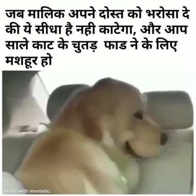 No Good Boi