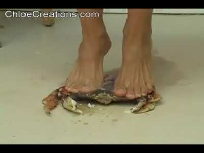 Barefoot - Crab | Maybe @Holi<wbr>day_V<wbr>acati<wbr>on277 likes it