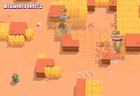 My life flashed before my eyes