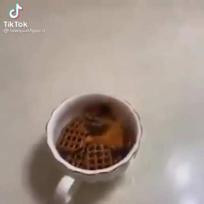 pretzels on fucking fire