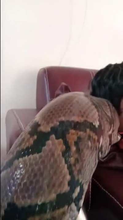 This Kid Playing A Game With A Pet Snake