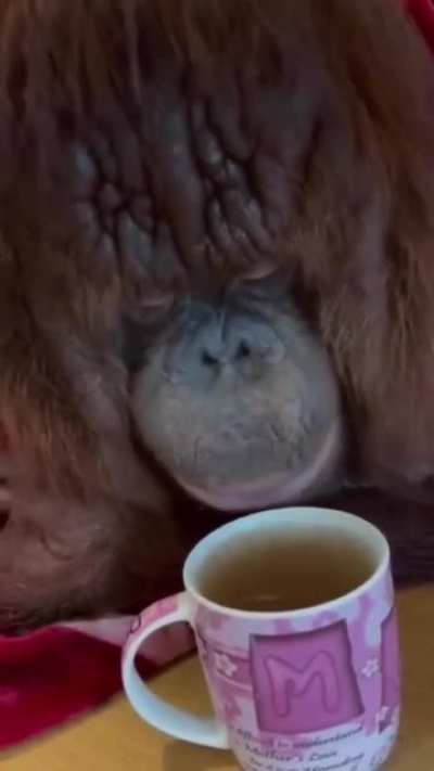 Having some hot tea