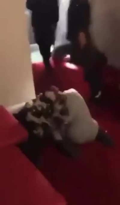 Friend's fights
