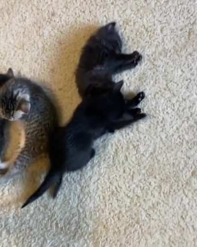 Sleeping time