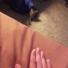you come here! NO, you come here this...